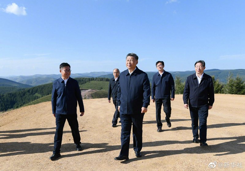 九点公开验证