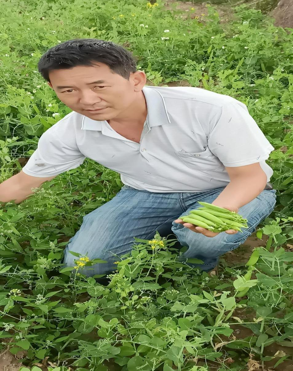 九点公开验证