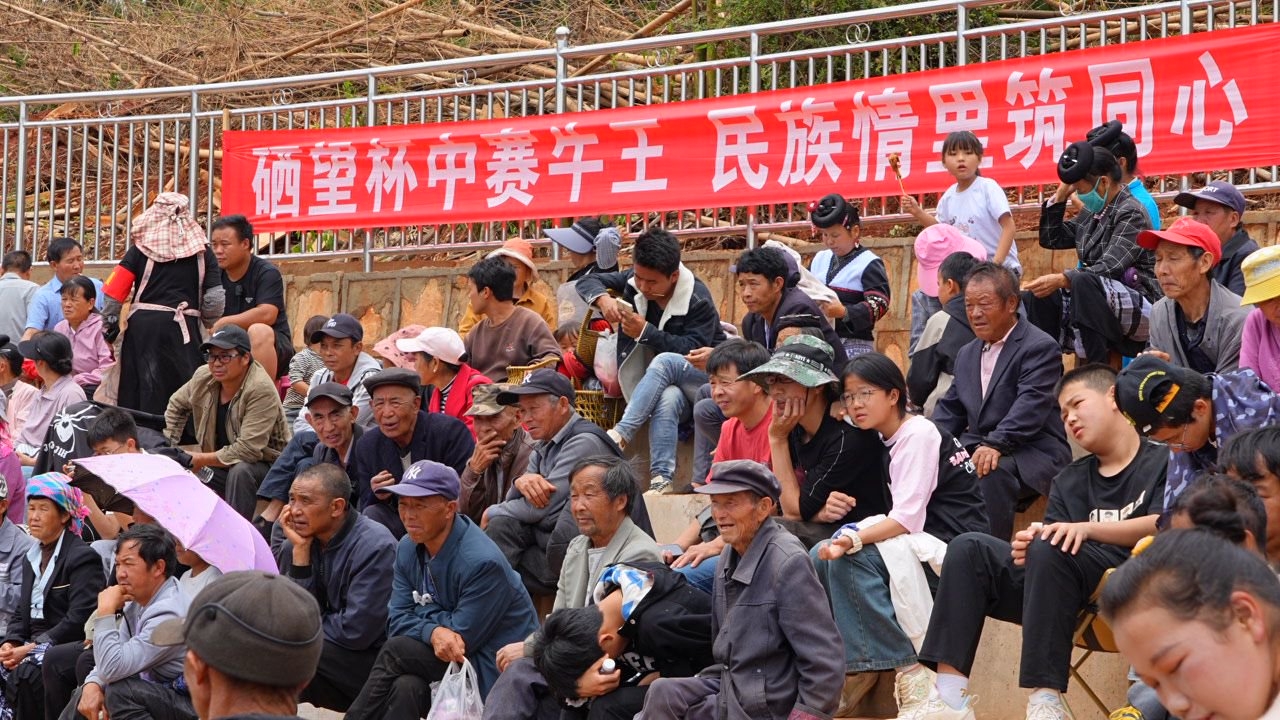 九点公开验证