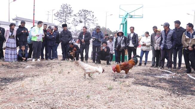 11.jpg 九点公开验证