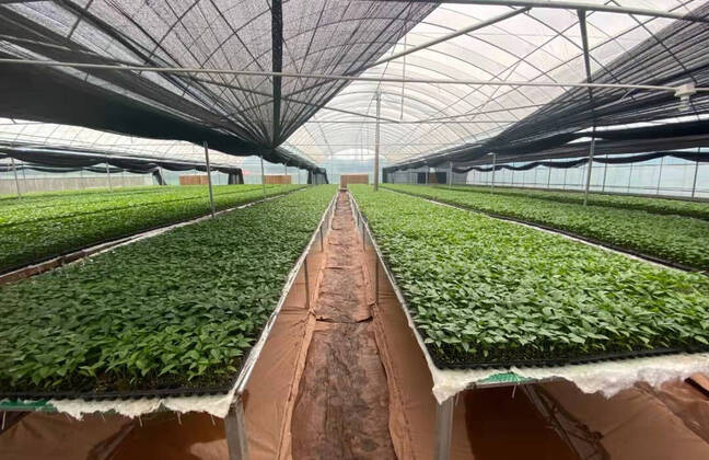 九点公开验证