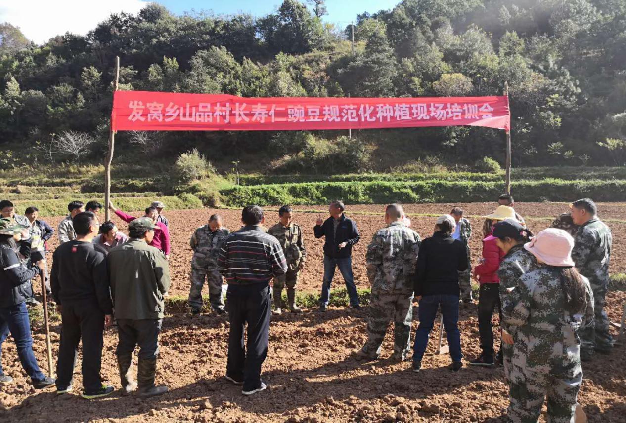 九点公开验证