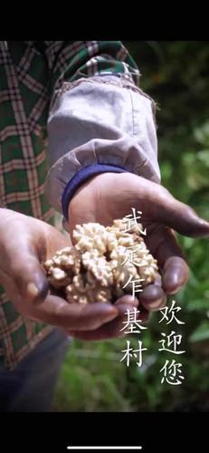 九点公开验证
