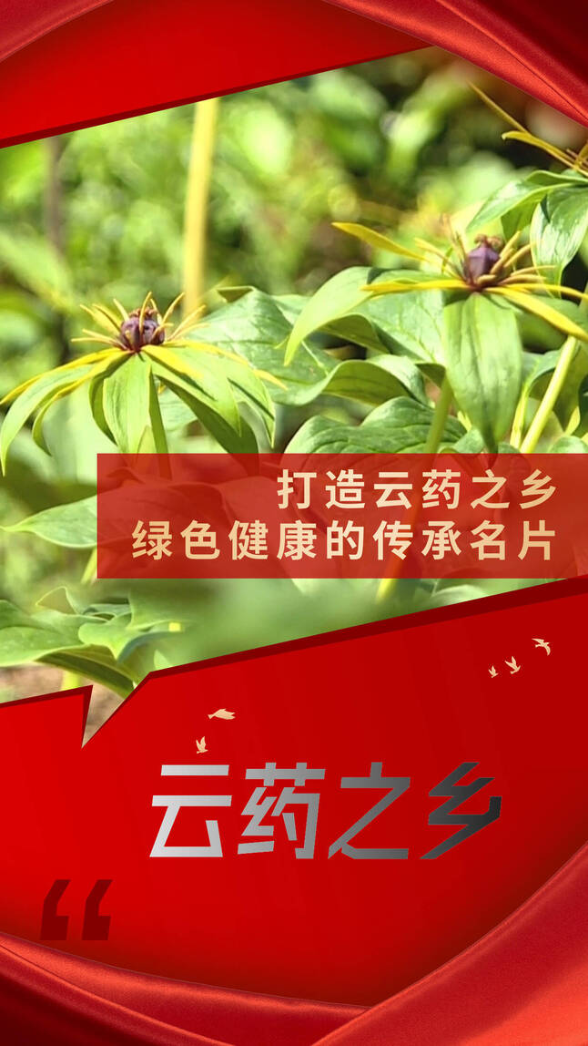 九点公开验证