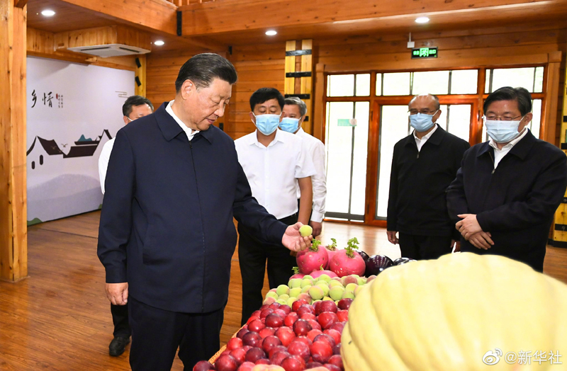 九点公开验证