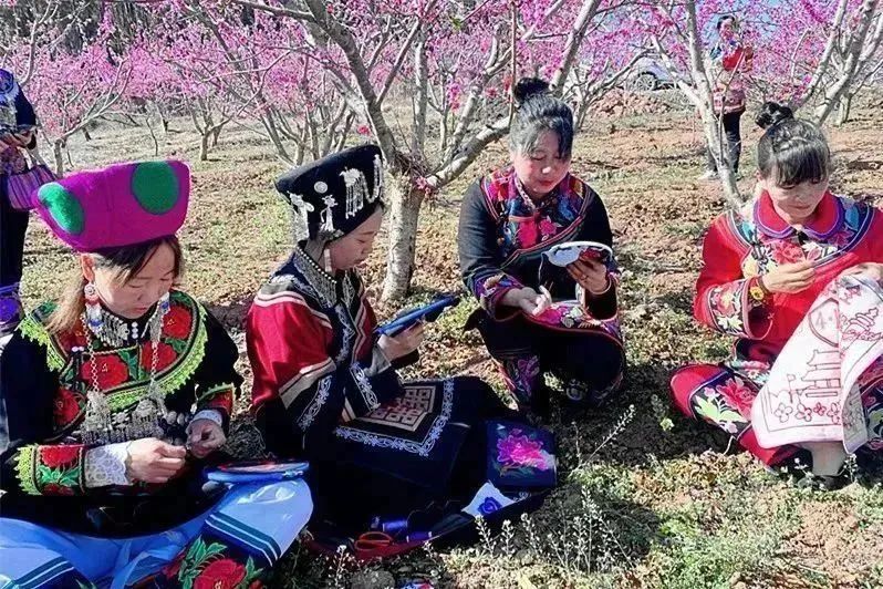 九点公开验证