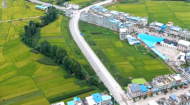 复制图片 九点公开验证
