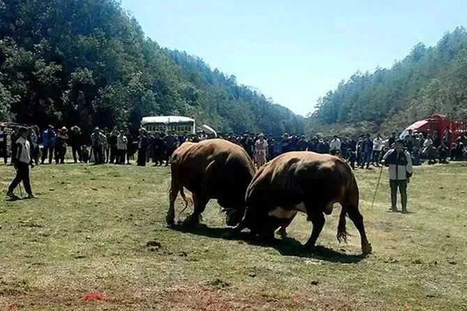 九点公开验证