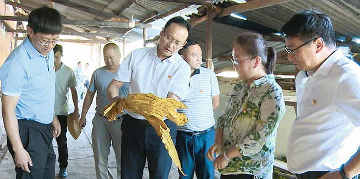 九点公开验证