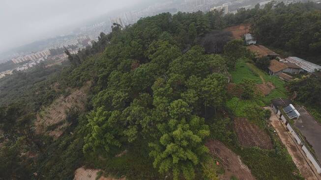 大坪子基地.jpg 九点公开验证