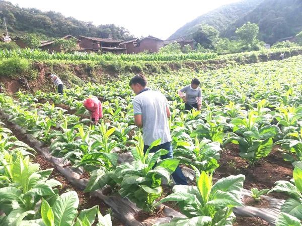 九点公开验证