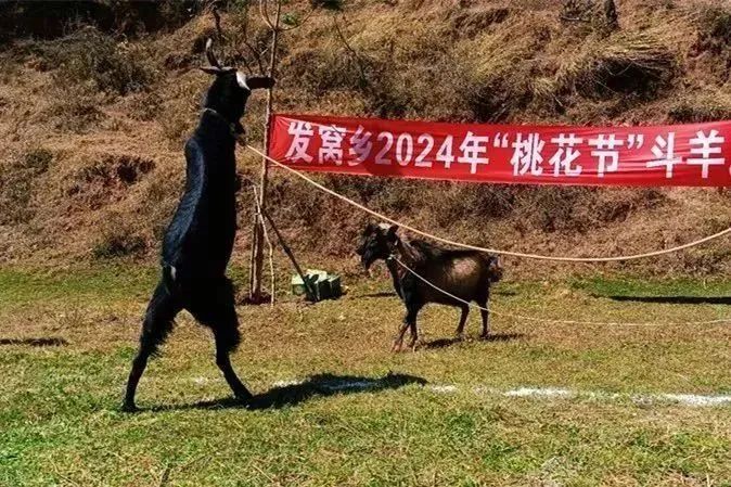 九点公开验证