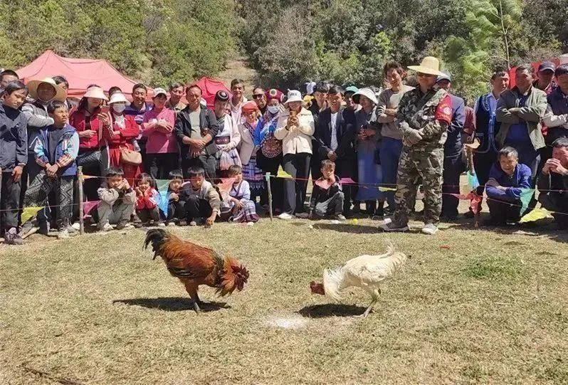 九点公开验证