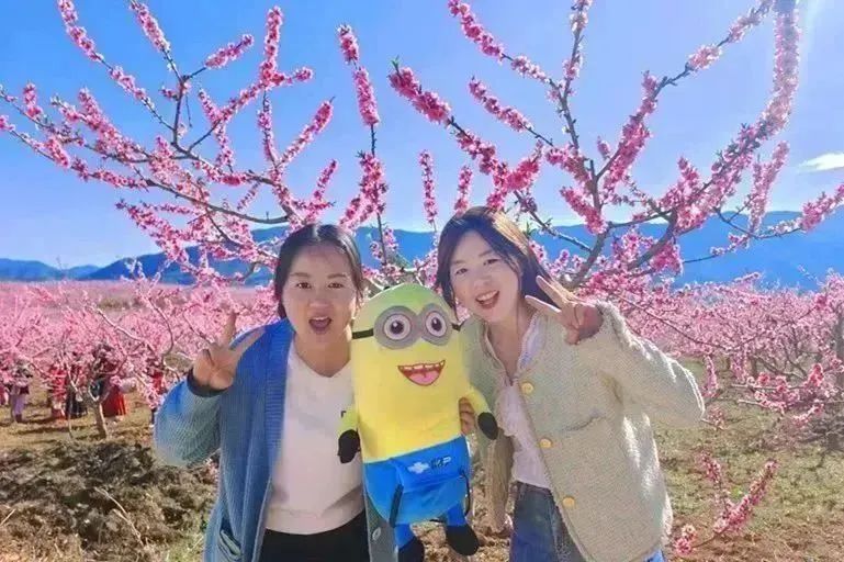 九点公开验证