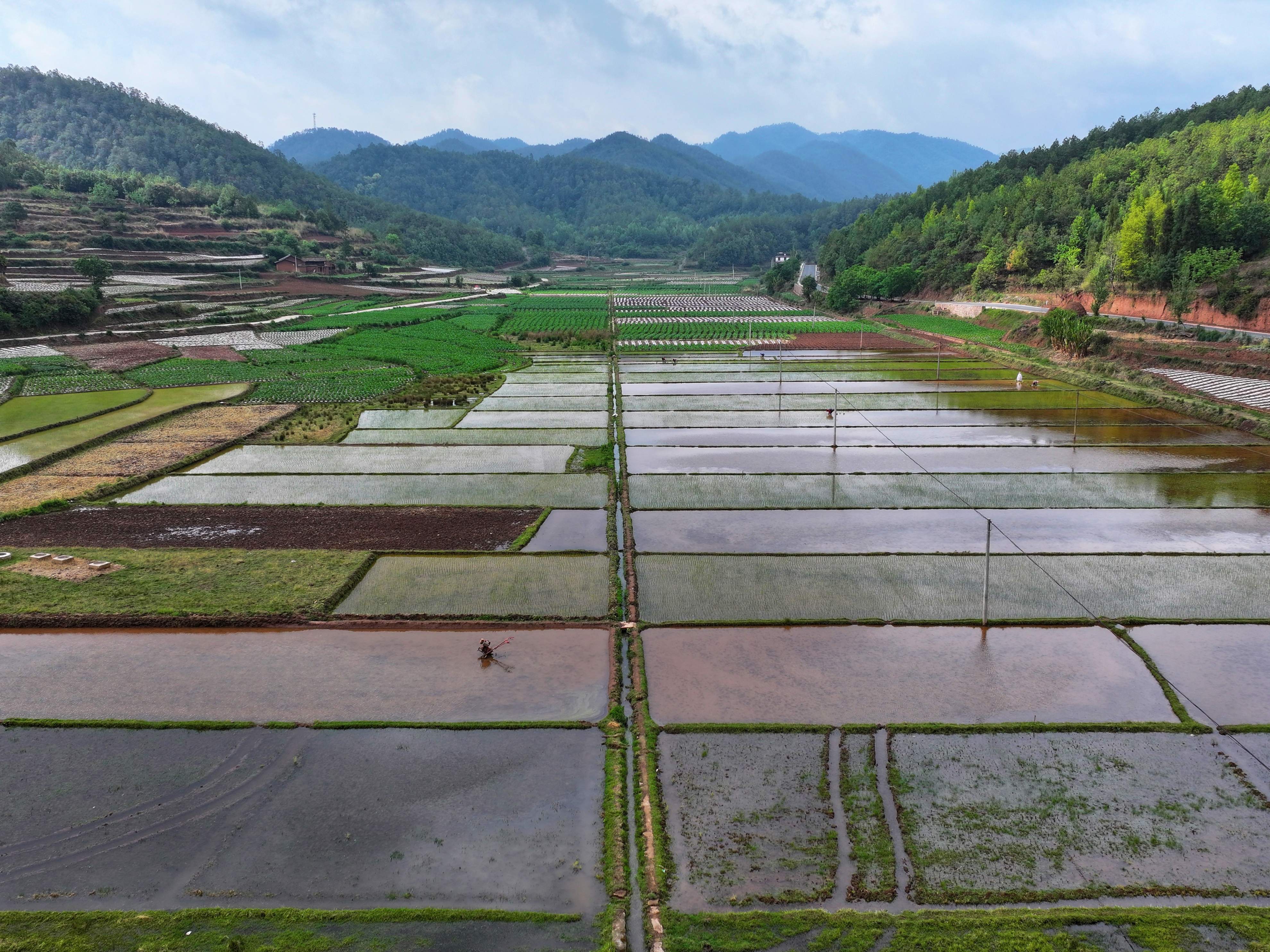 1.高标准农田.jpg 九点公开验证