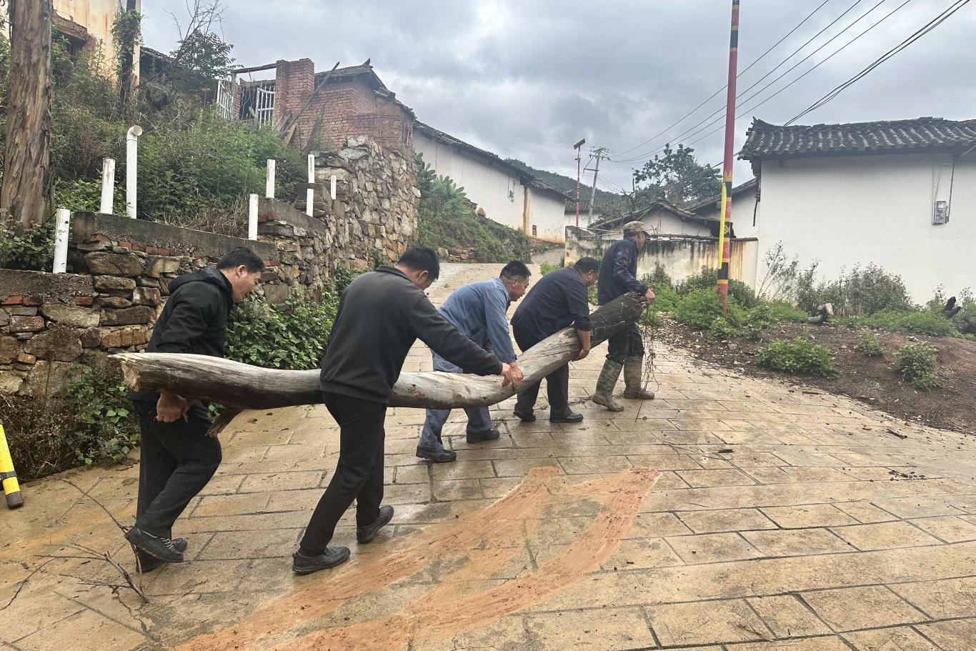 九点公开验证