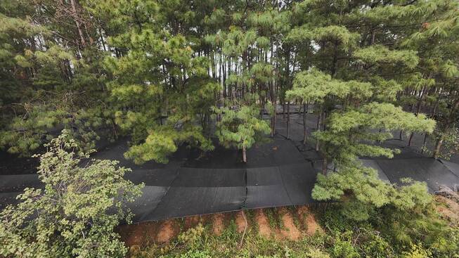 大坪子基地2.jpg 九点公开验证