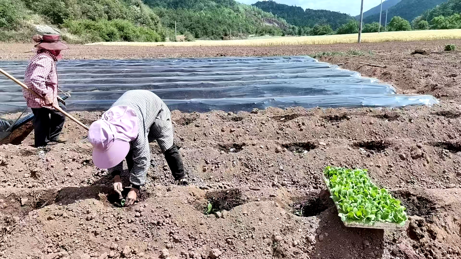 九点公开验证