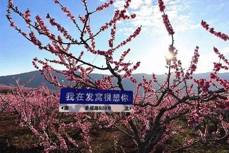 九点公开验证