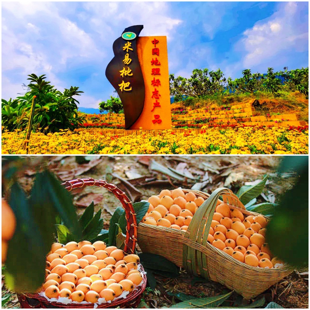 九点公开验证