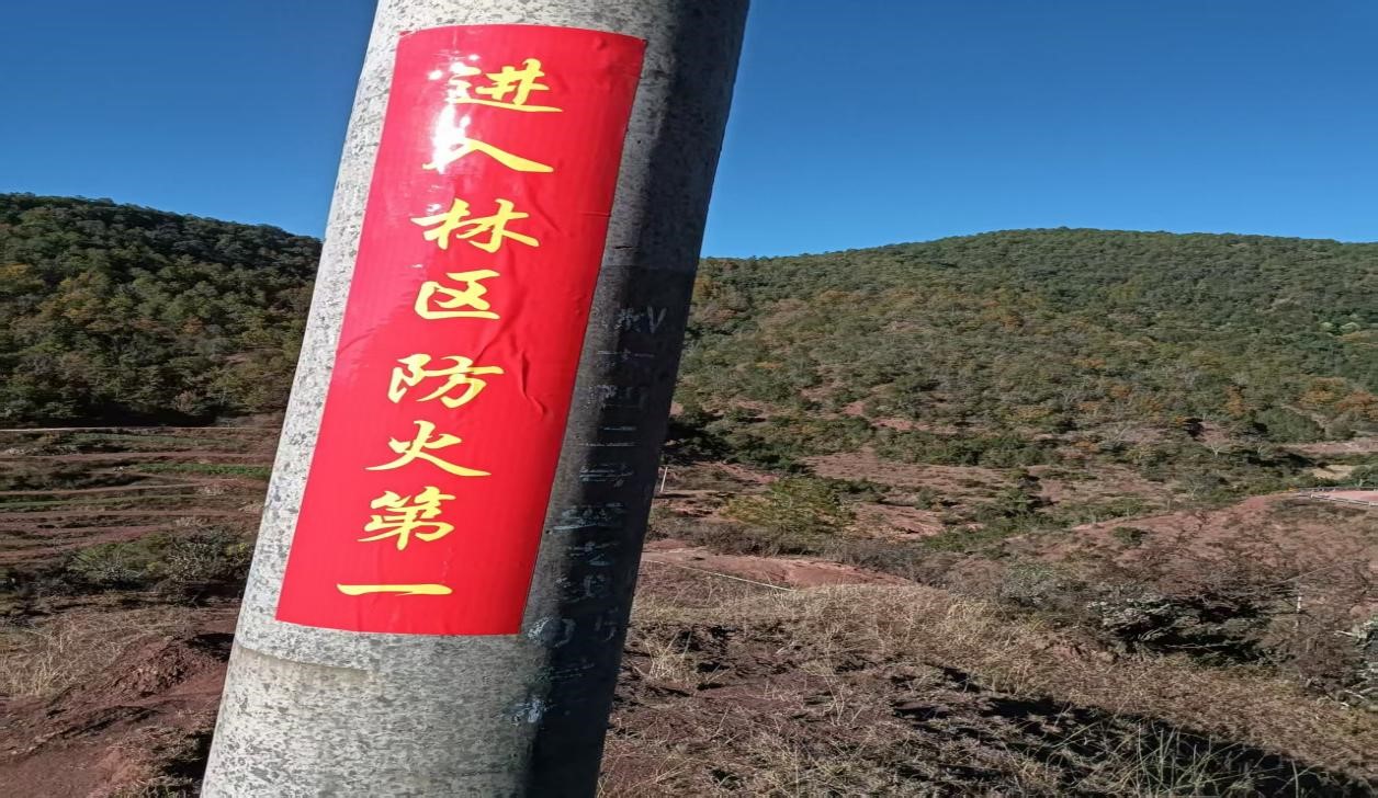 九点公开验证