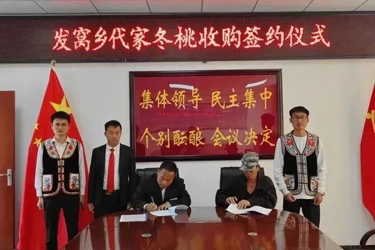 九点公开验证