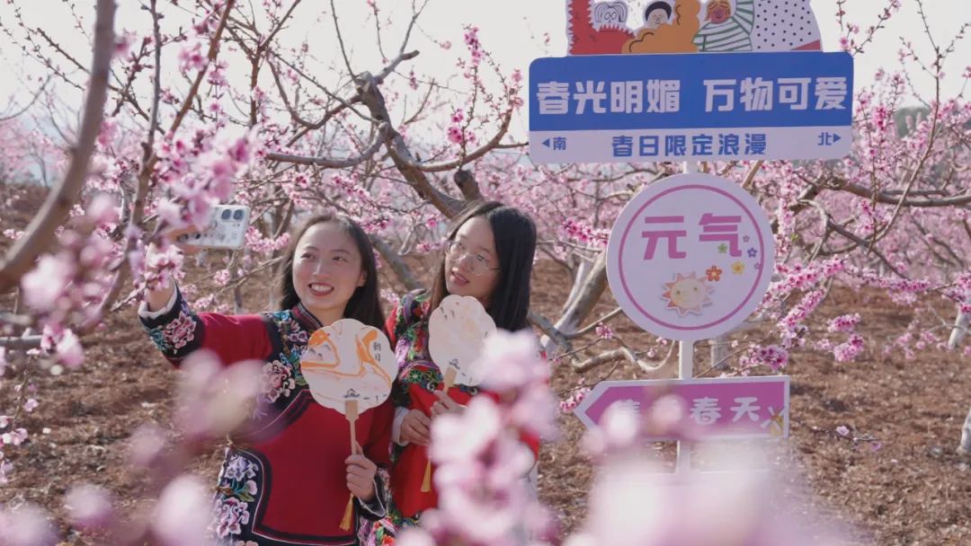 九点公开验证