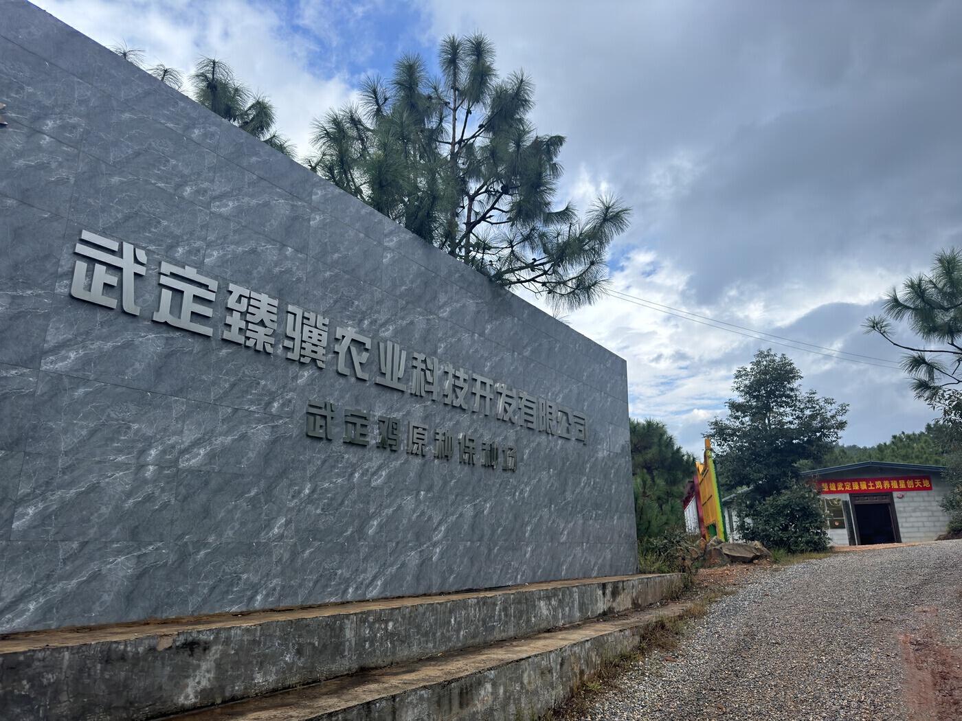 复制图片 九点公开验证