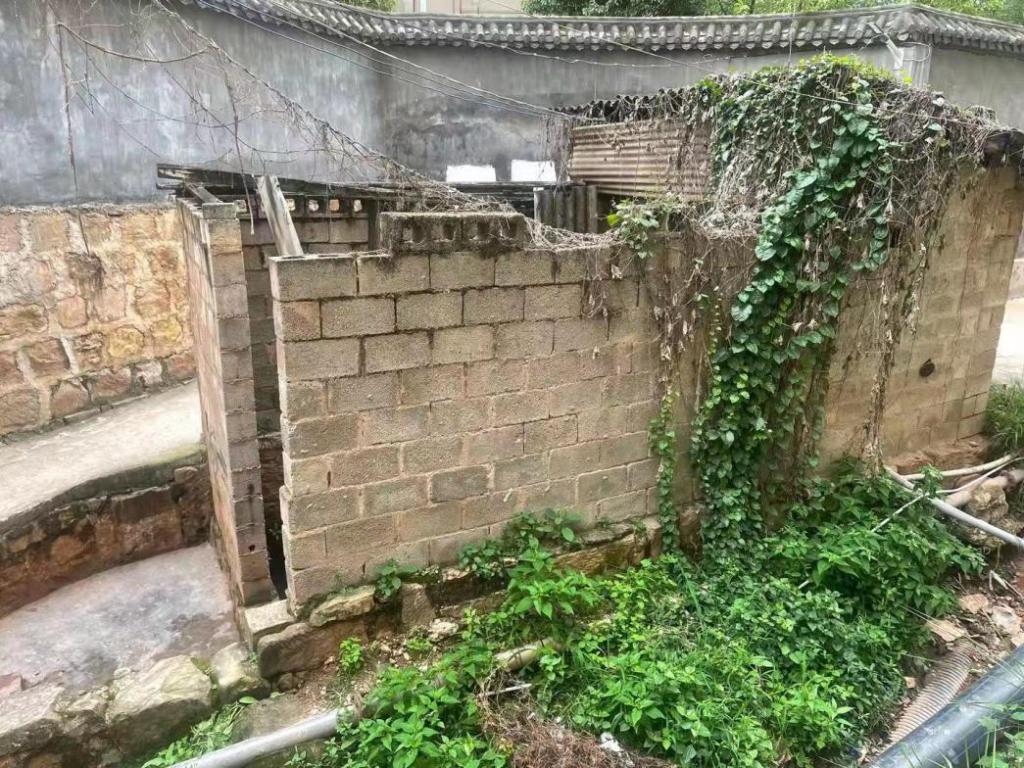 九点公开验证